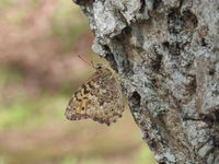 DSCN2045.JPG