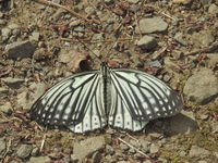 DSCN2061.JPG