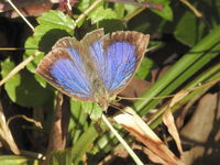 DSCN2415.JPG