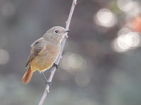 DSCN2632.JPG