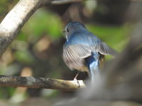 DSCN3513.JPG