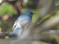 DSCN3515.JPG