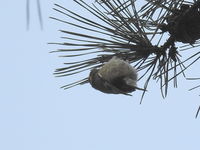 DSCN3612.JPG
