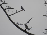 DSCN3892.JPG