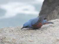 DSCN3912.JPG