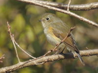 DSCN3952.JPG