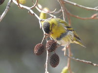 DSCN3983.JPG