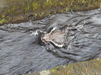 DSCN3993.JPG