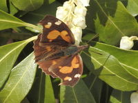 DSCN4007.JPG