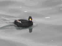 DSCN4061.JPG