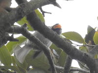 DSCN4113.JPG