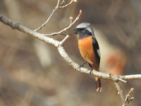 DSCN4199.JPG