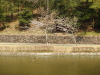 DSCN4219.JPG