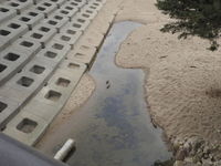 DSCN4230.JPG