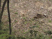 DSCN4247.JPG