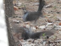 DSCN0164.jpg