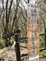 DSCN0201.JPG