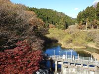 DSCN0201.jpg
