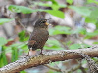 DSCN0232.JPG