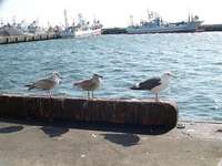 DSCN0406.jpg