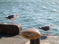 DSCN0409.jpg