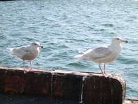 DSCN0414.jpg