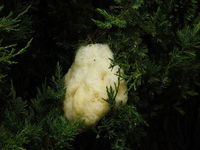 DSCN0532.JPG