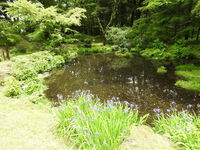 DSCN0538.JPG