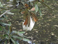 DSCN0548.JPG