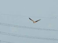 DSCN0673.jpg
