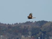 DSCN0702.jpg