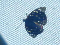 DSCN0727.JPG