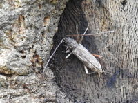 DSCN1025.JPG