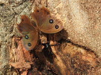 DSCN1029.JPG