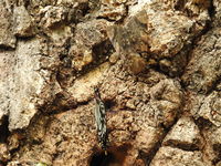 DSCN1057.JPG