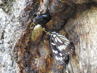 DSCN1132.JPG