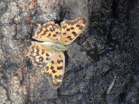 DSCN1143.JPG