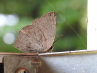 DSCN1158.JPG