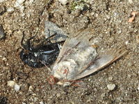 DSCN1167.JPG
