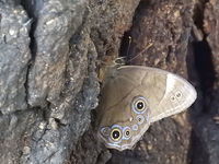 DSCN1206.JPG