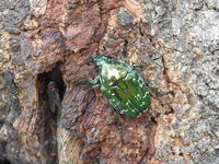 DSCN1210.JPG