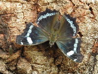 DSCN1237.JPG
