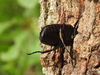 DSCN1240.JPG