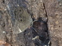 DSCN1280.JPG