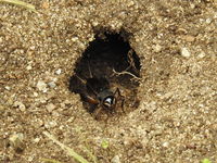 DSCN1293.JPG