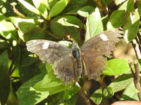 DSCN1384.JPG
