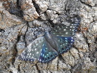 DSCN1386.JPG