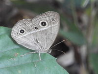 DSCN1431.JPG