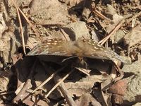 DSCN1439.jpg