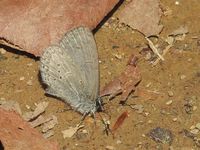 DSCN1450.jpg